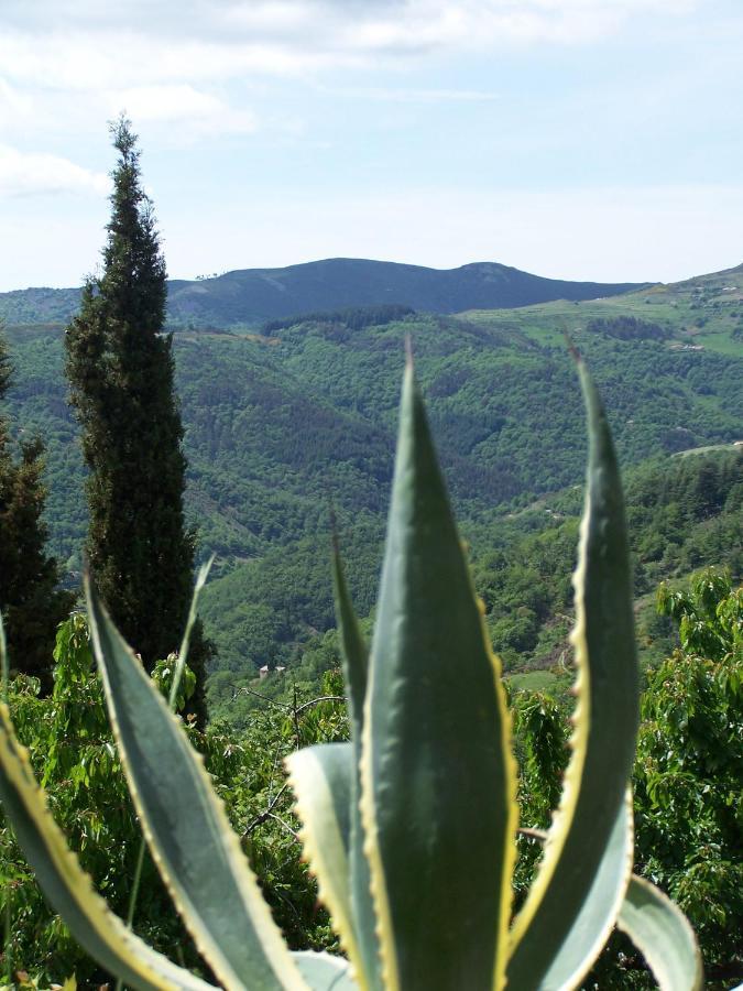 Gite De Chapeleche Les Chataigniers Gluiras Exterior foto