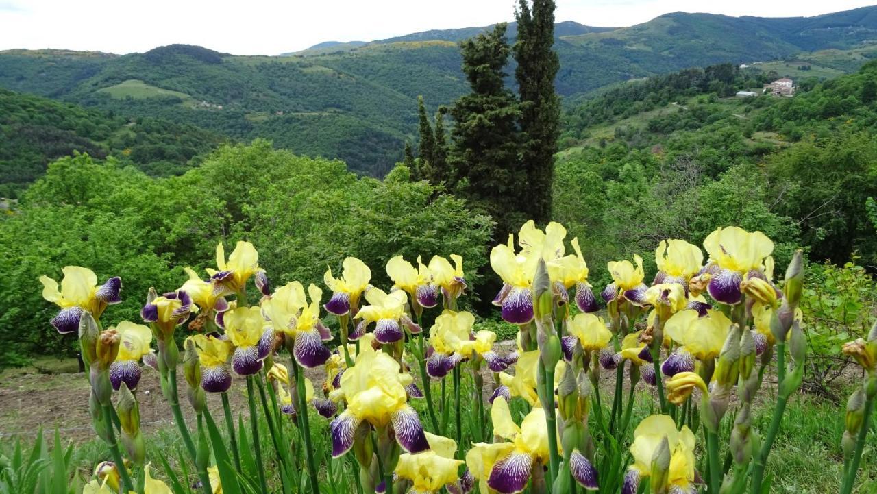 Gite De Chapeleche Les Chataigniers Gluiras Exterior foto